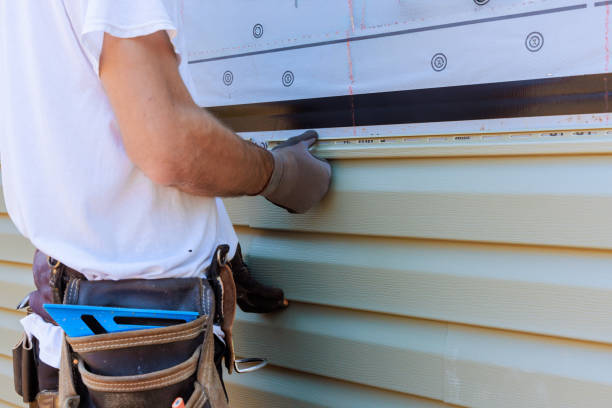 Affordable Vinyl Siding solutions in Rochelle, IL